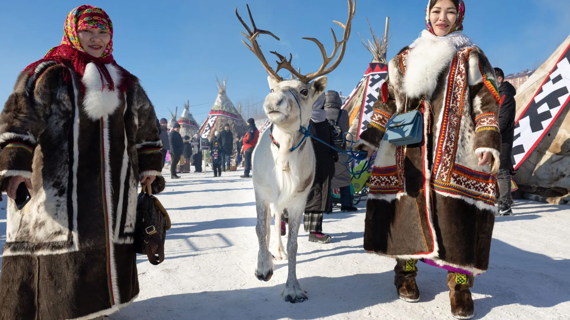 День оленевода охватил более 20 населенных пунктов Ямала. Фото: Андрей Ткачев / «Ямал-Медиа»