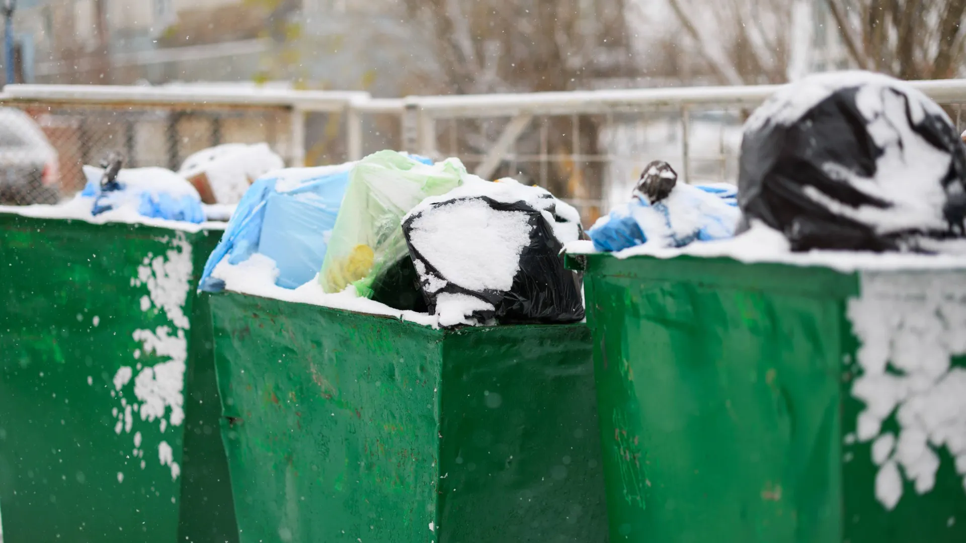 Из-за плохой работы управляющих компаний мусор приходится выгребать из-под снега. Фото: Юлия Чудинова / «Ямал-Медиа»