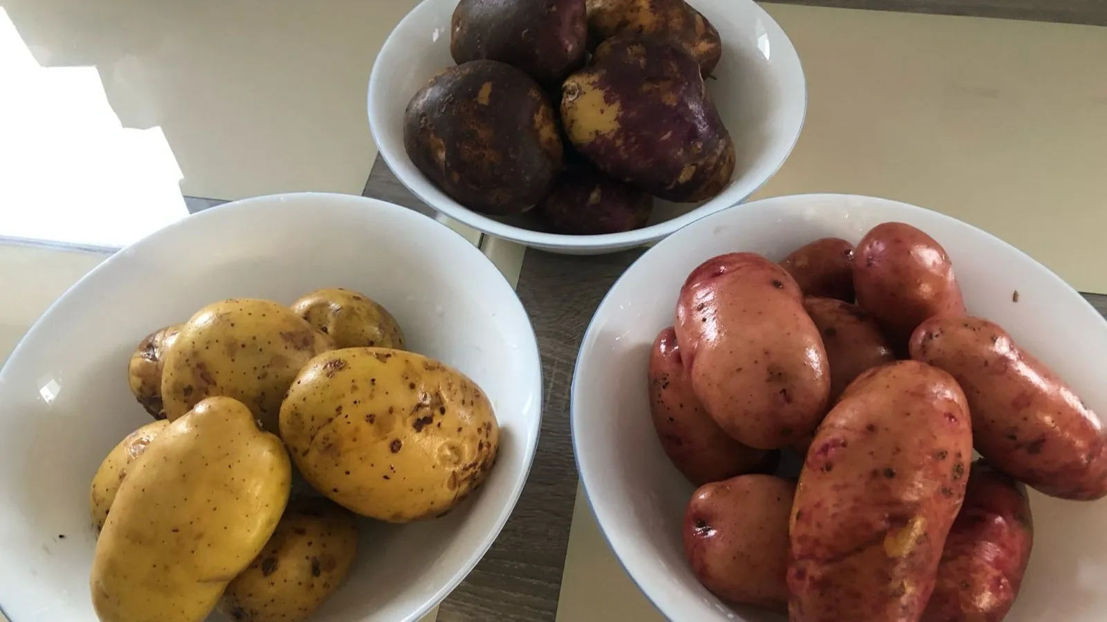 Боровиковы выращивают три вида картофеля. Фото предоставила Анна Боровикова. 