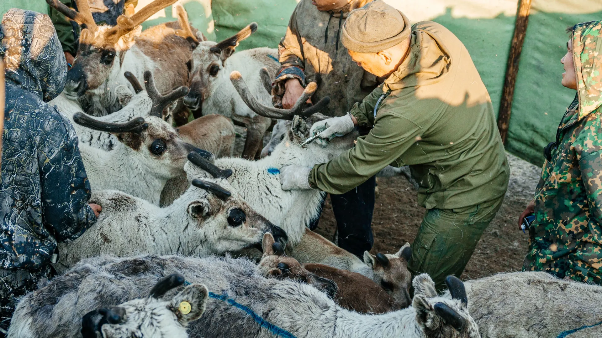 Фото: Юлия Чудинова / «Ямал-Медиа»