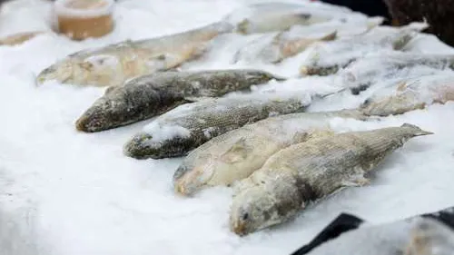 Северная рыбка - кладезь полезных веществ. Фото: Юлия Чудинова / «Ямал-Медиа».