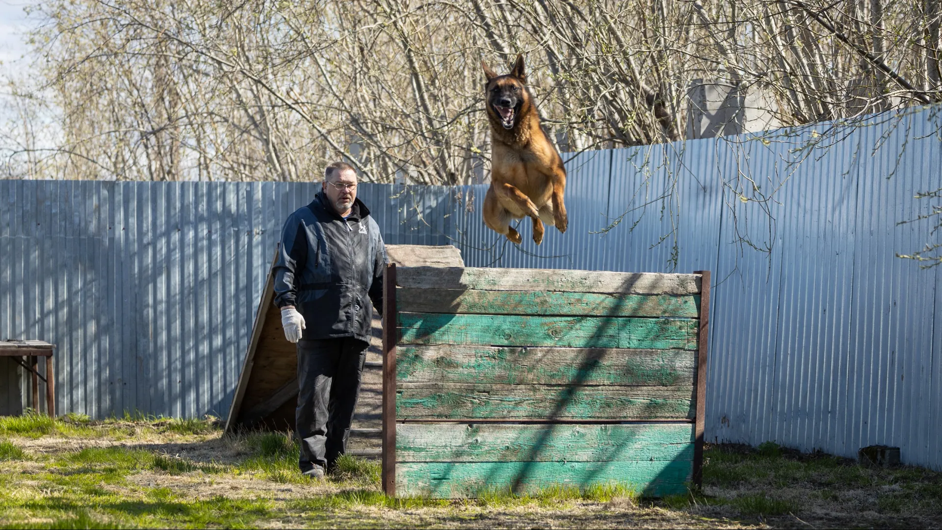 Прыжок — почти два метра с кончиками ушей. Фото: Федор Воронов / «Ямал-Медиа»