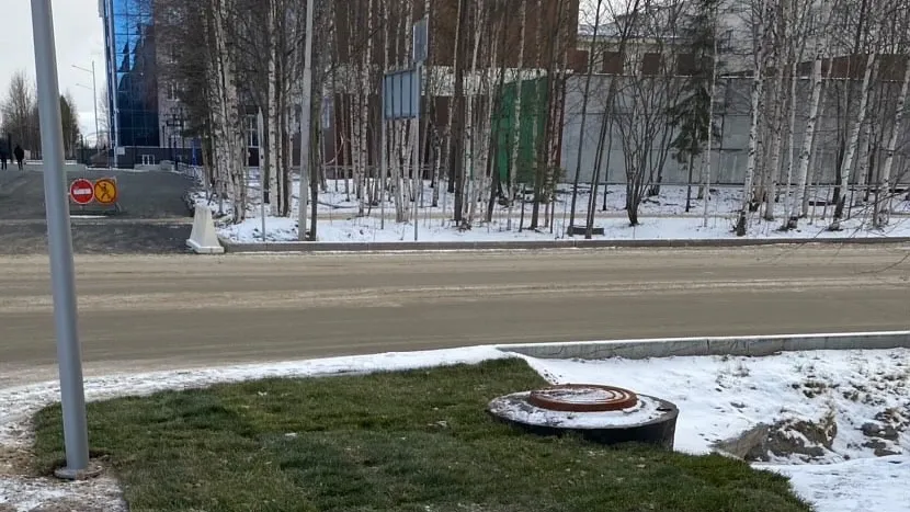 Рулонные газоны в Ноябрьск привезли из Челябинска. Фото: Происшествия Ноябрьск/vk.com