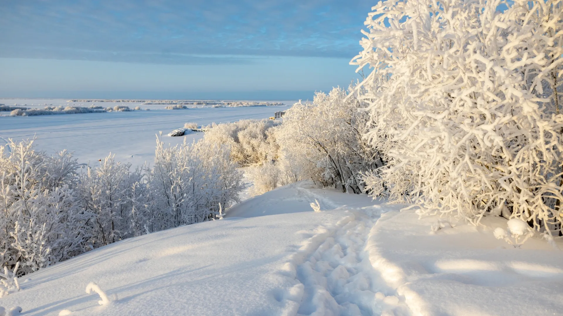 Фотографы «Ямал-Медиа» поделились зимними фотографиями. Фото: Фёдор Воронов / «Ямал-Медиа»