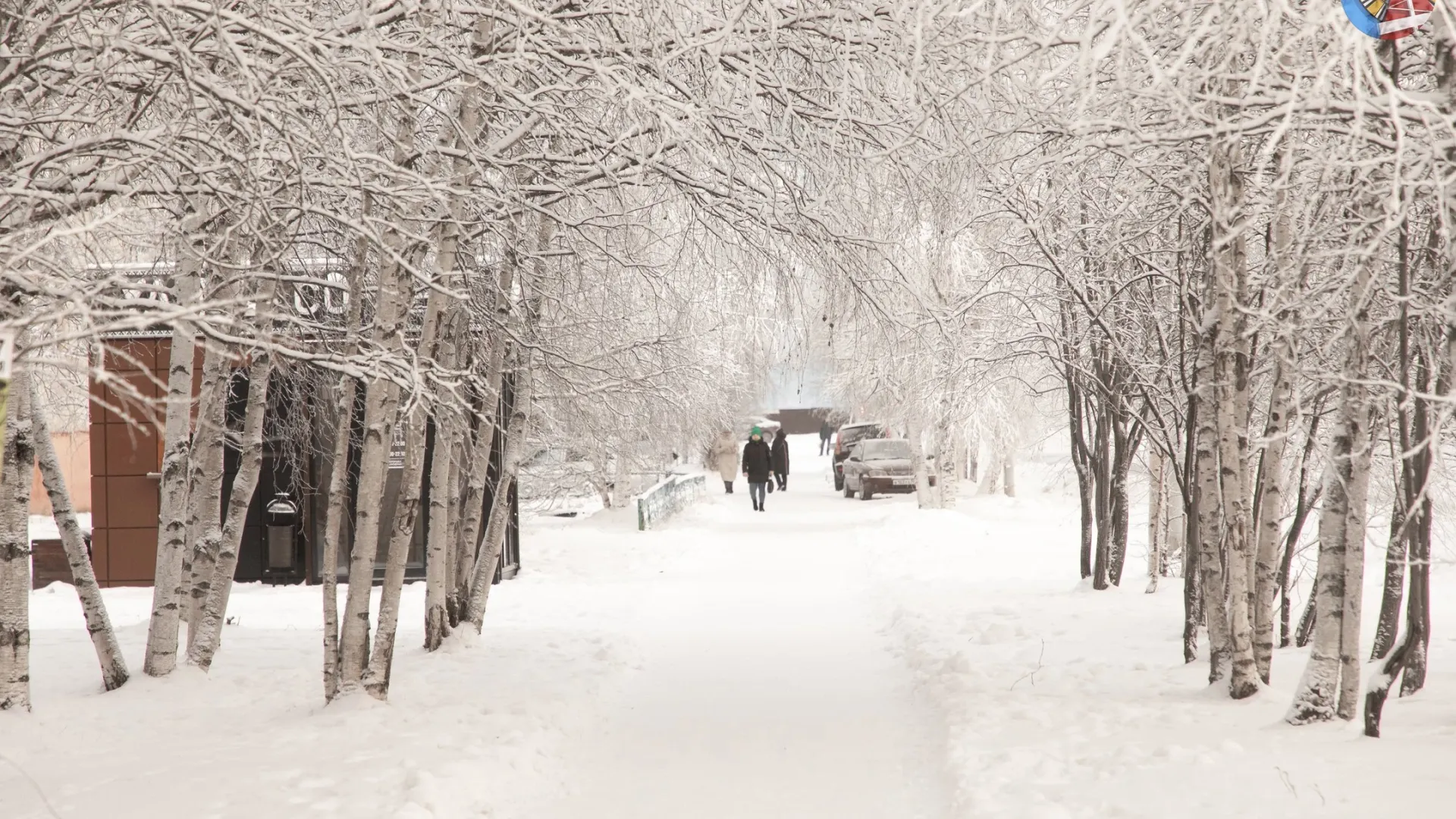 В Ноябрьске ожидают тридцатиградусные морозы. Фото: vk.com/anoyabrsk