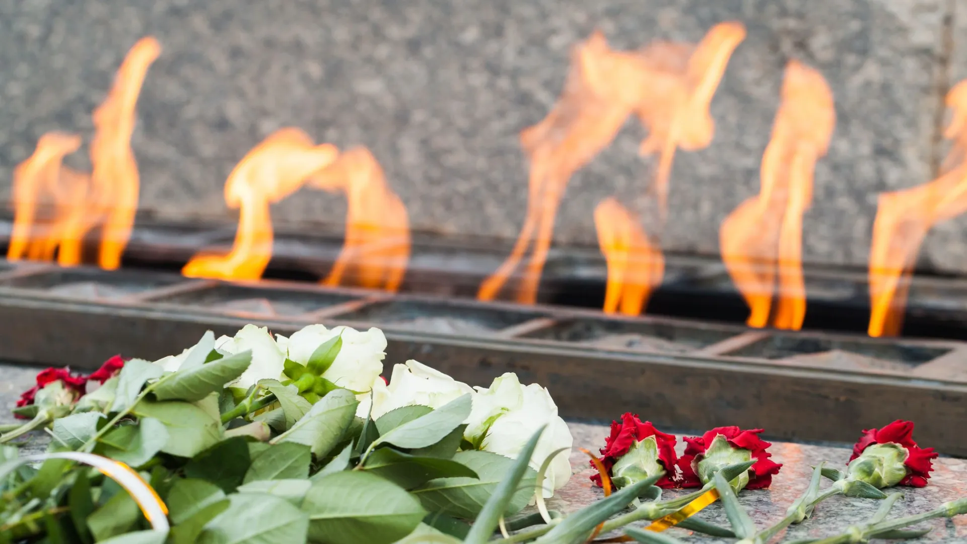 Житель Муравленко погиб в СВО. Фото: Evannovostro/Shutterstock/Fotodom