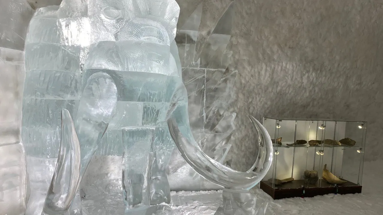 В комнате с новым экспонатом установили большую ледяную скульптуру доисторического животного. Фото: Анастасия Ульянова / «Ямал-Медиа»