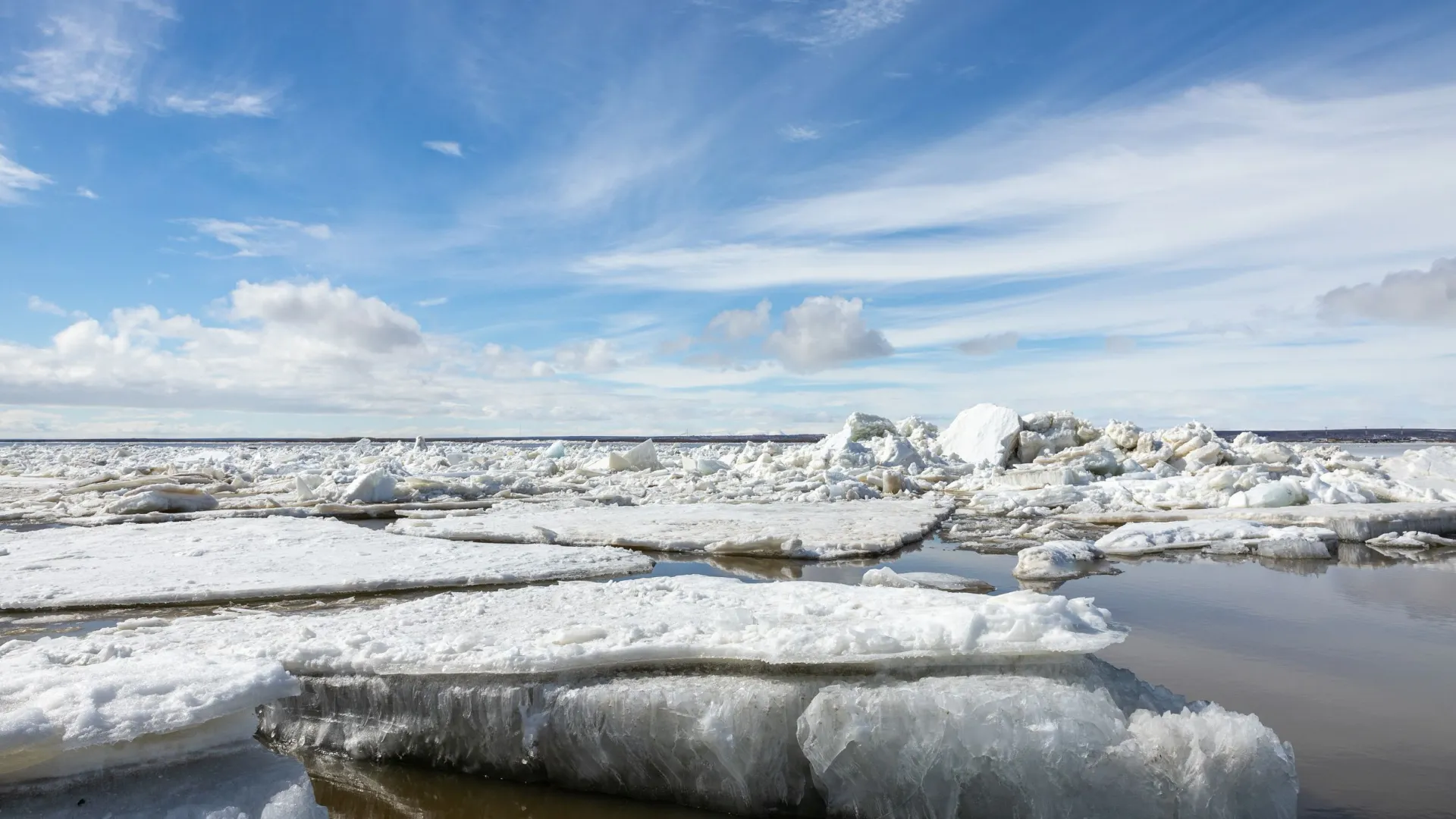 Покрытые льдом ямальские водоемы поманили первых летних купальщиков |  Север-Пресс