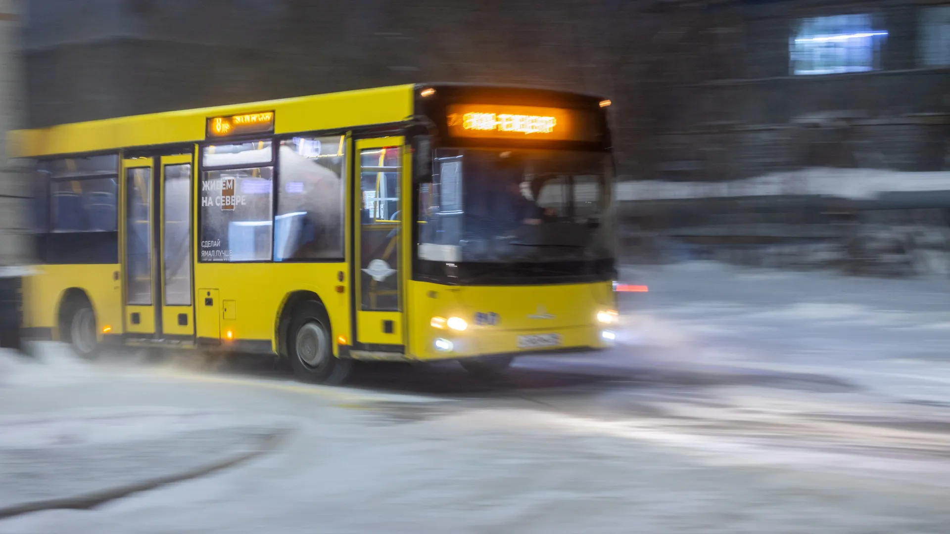 Автобусы вернутся на маршруты после каникул. Фото: Федор Воронов / «Ямал-Медиа»
