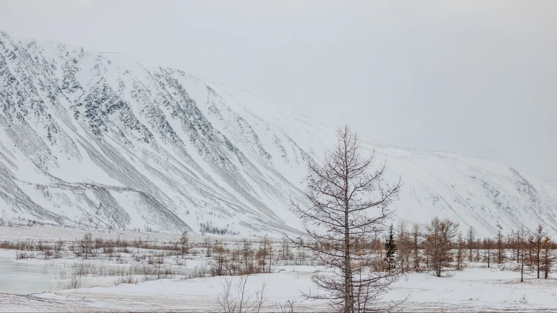 Горы завораживают в любую погоду. Фото: Сергей Зубков / «Ямал-Медиа»