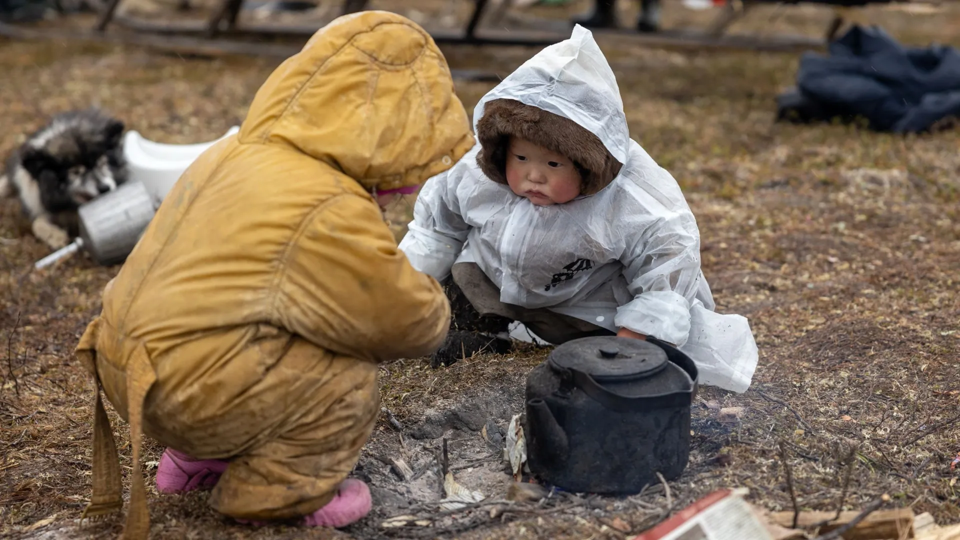 На Ямале в местах кочевий проживает около 1,5 тысячи детей дошкольного возраста. Фото: Фёдор Воронов / «Ямал-Медиа»