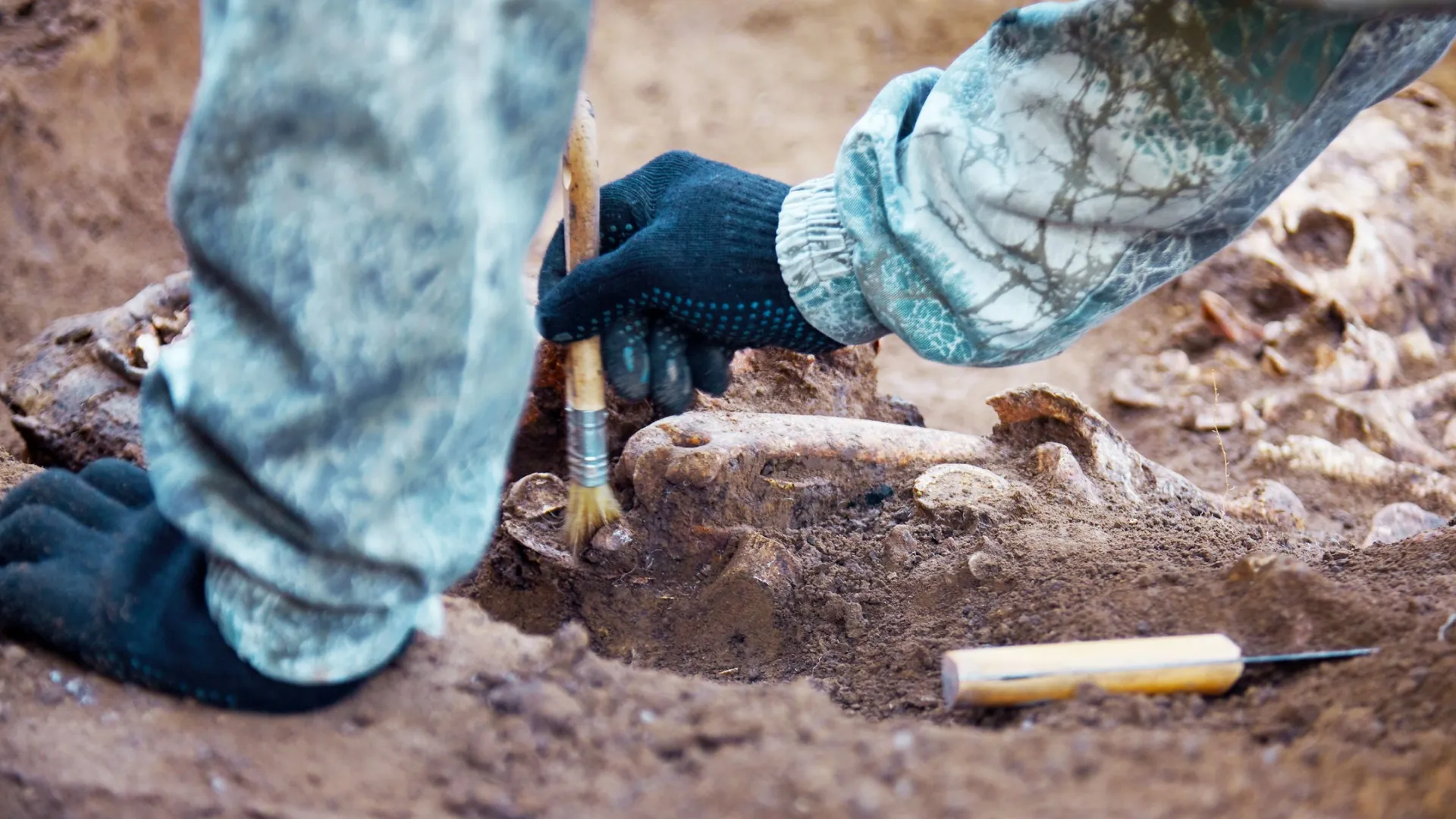 Археологи установили возраст захоронения на Ямале. Фото: Xolodan/Shutterstock/Fotodom
