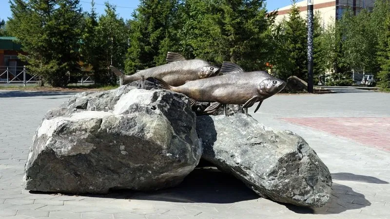 Памятник «золотой» рыбе Севера есть в столице Ямала. Фото: Василий Петров /«Ямал-Медиа». 
