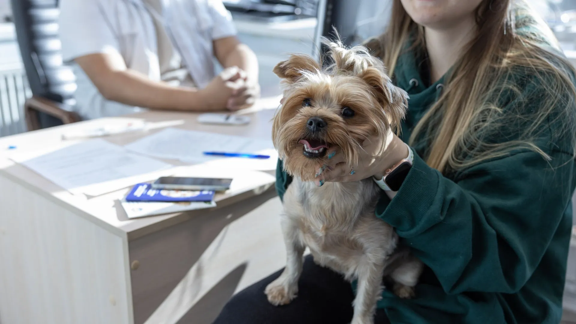 В Красноселькупе ветеринары приняли первых пациентов. Фото: Федор Воронов / «Ямал-Медиа»