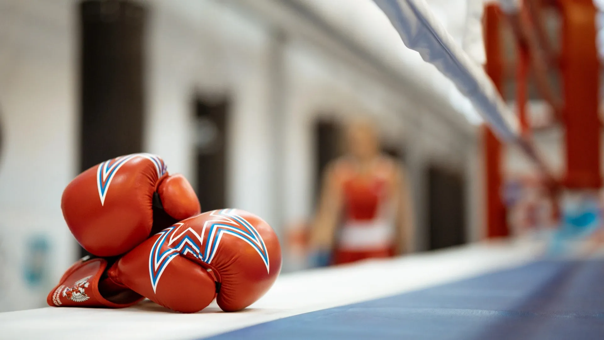 В ЯНАО прошли окружные состязания по боксу. Фото: Юлия Чудинова / «Ямал-Медиа»