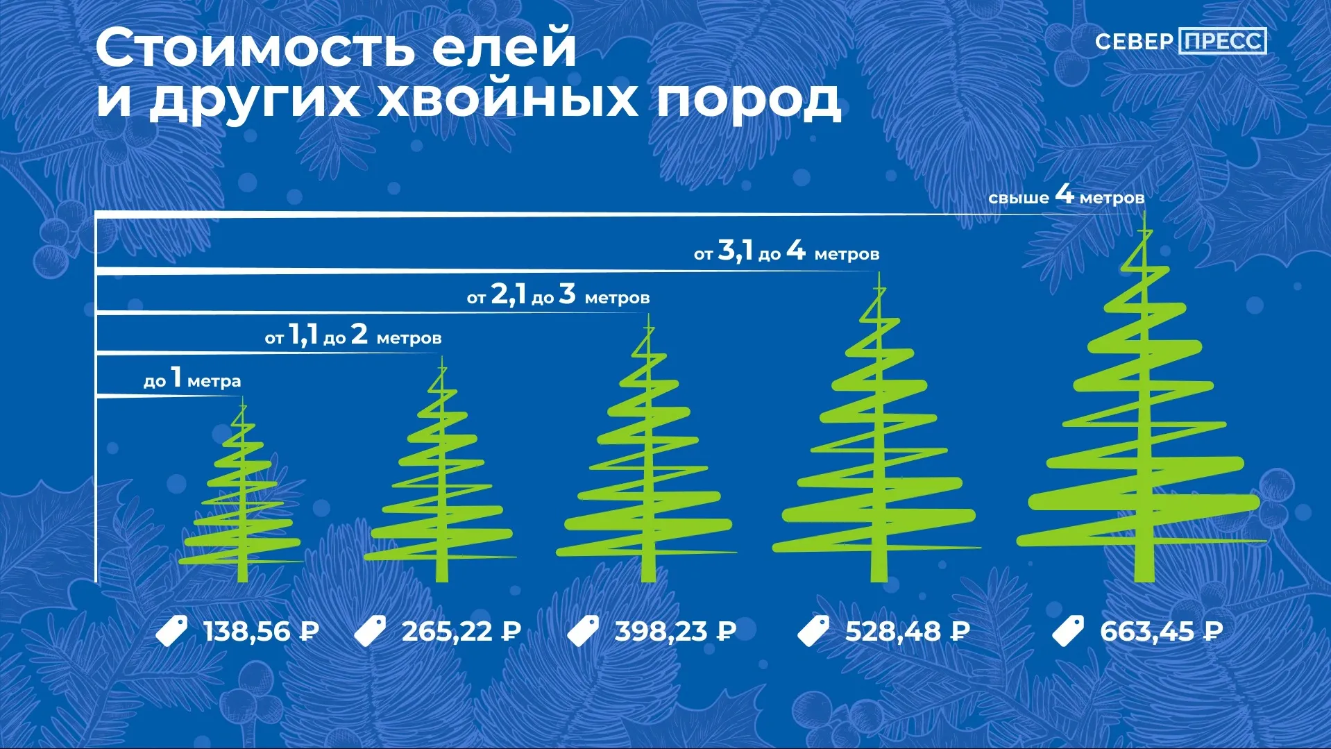 Инфографика: Татьяна Бояринова / «Север-Пресс»