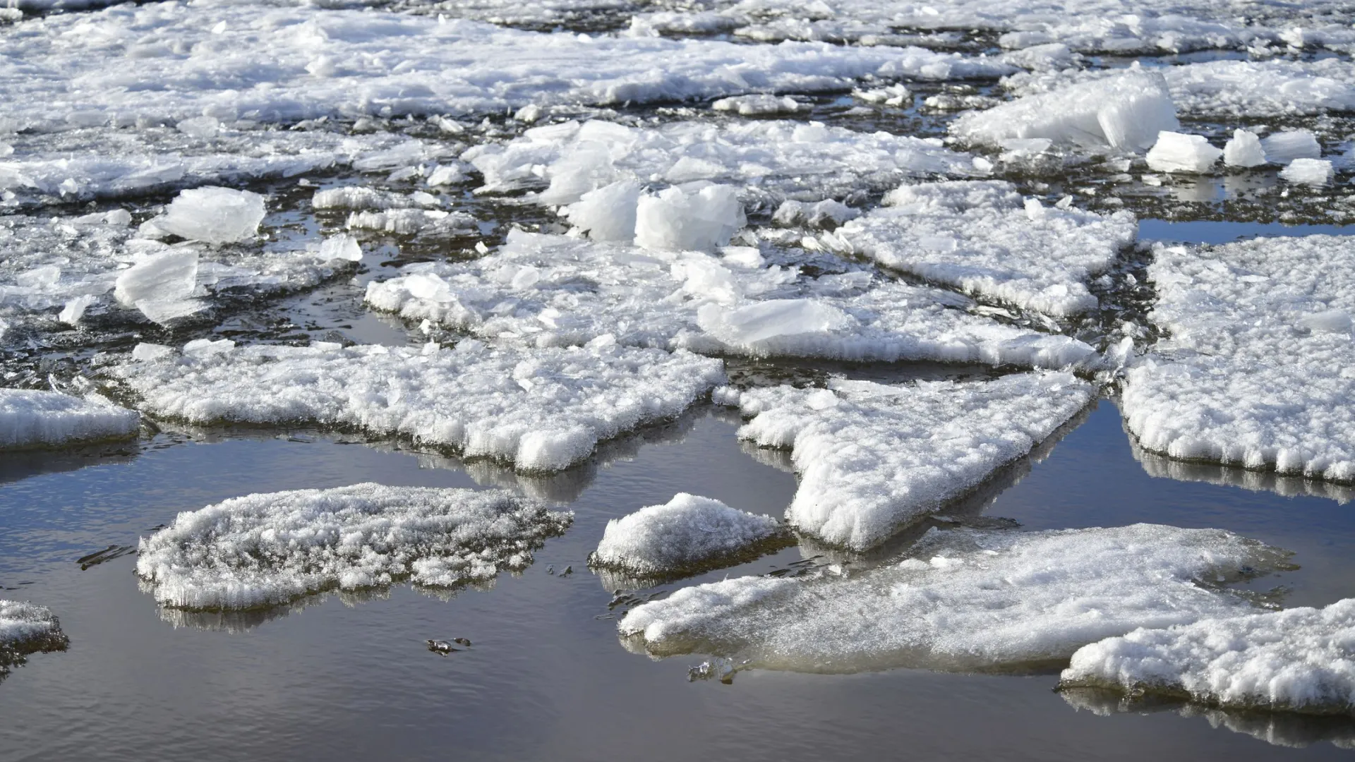 Река Сыня готовится к ледоходу. Фото: Андрей Ткачев / «Ямал-Медиа»
