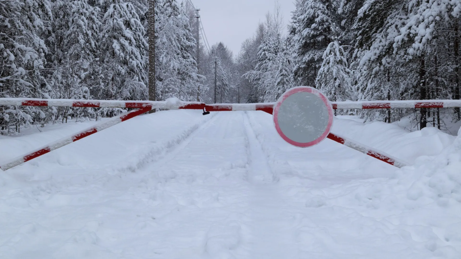 В Шурышкарском районе дорожники завершают подготовку зимников. Фото: Golga101/Shutterstock/Fotodom