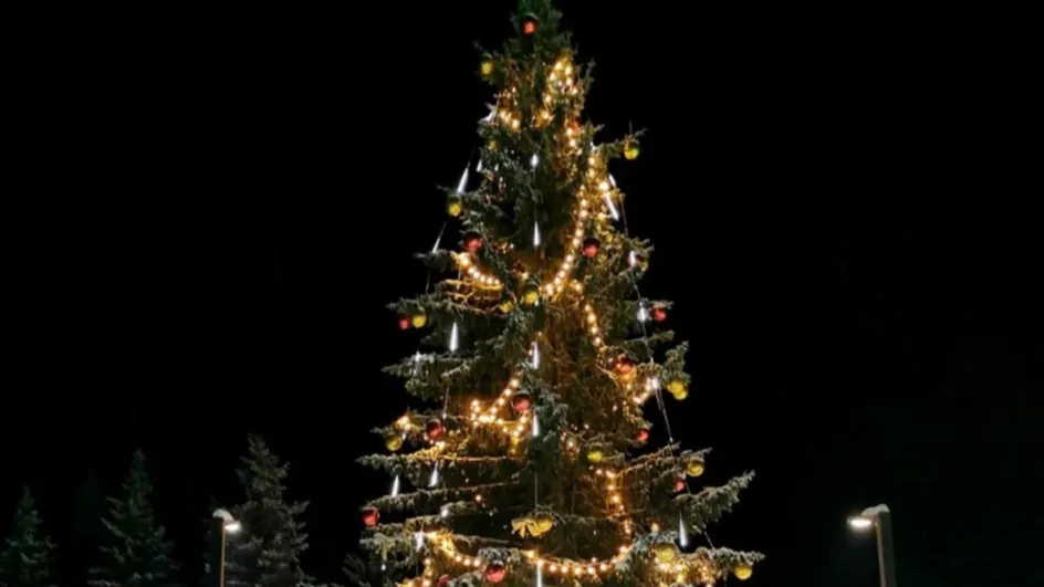 В Мужах будут сразу две праздничных елки. Фото: t.me/OlegNikolaevichPopov