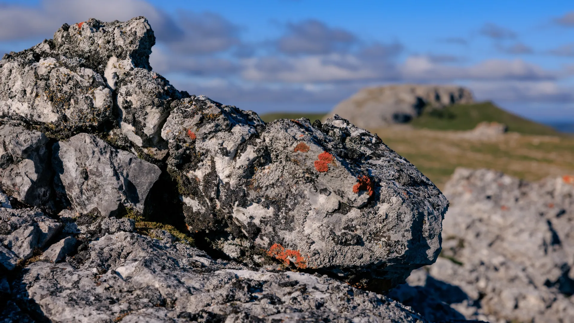 Возраст геологической платформы — более 10 млн лет. Фото: ANDREY TKACHEV/«Ямал-Медиа»