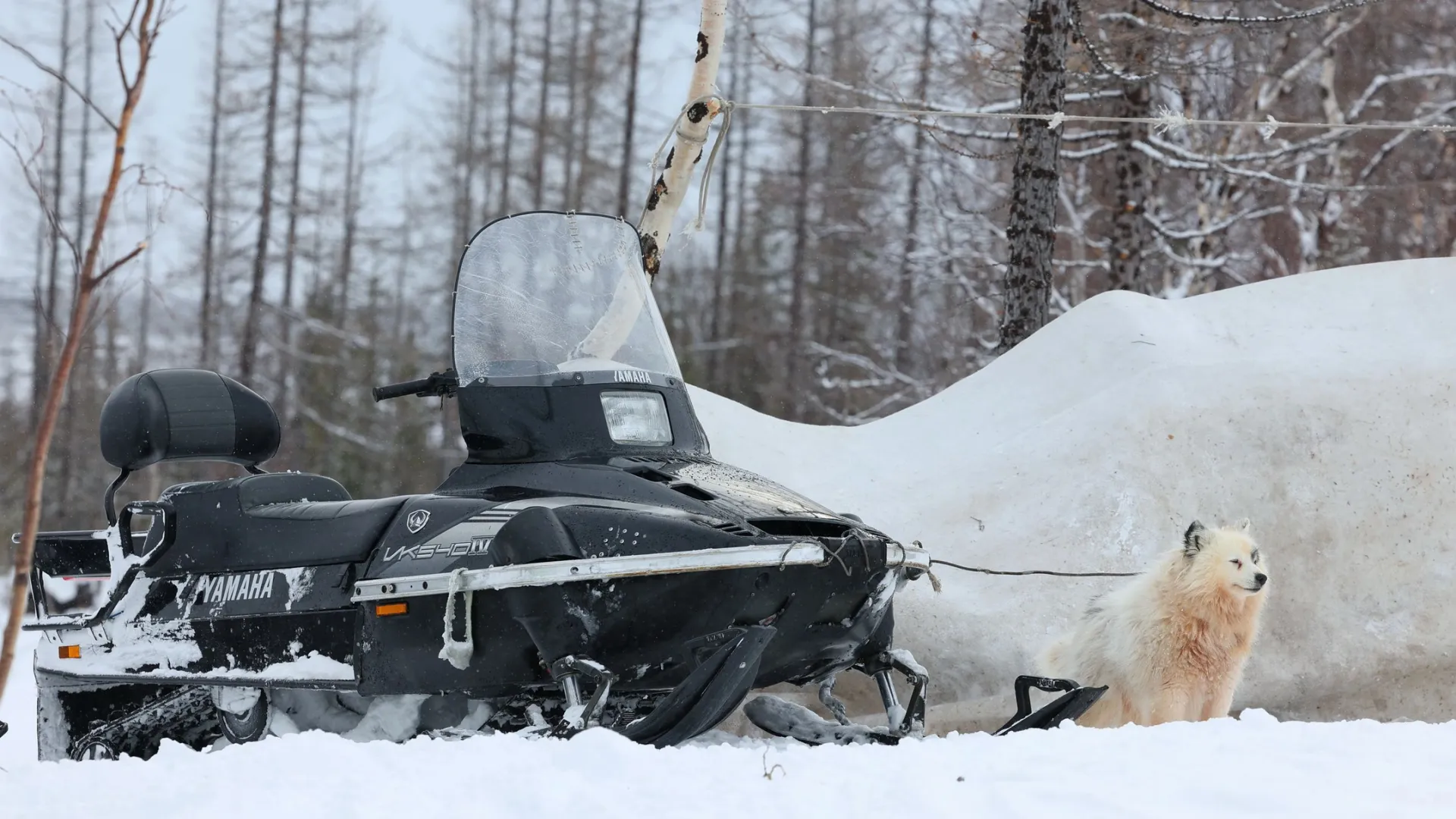 Автоинспекторы Тазовского района провели мероприятие «Снегоход». Фото: Андрей Ткачев / «Ямал-Медиа»