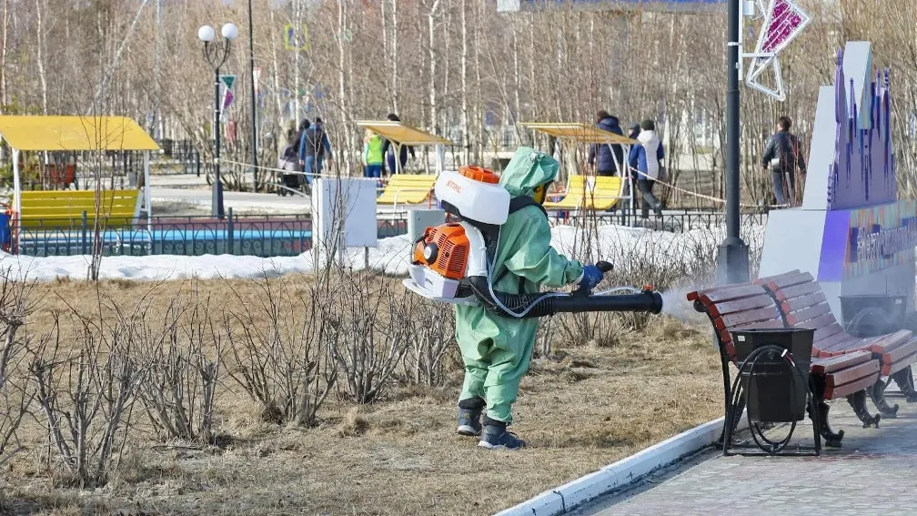 Работу город муравленко. Муравленко благоустройство города. Санитарное благоустройство территорий. Муравленко парк. Сквер Юбилейный Тарко-Сале.