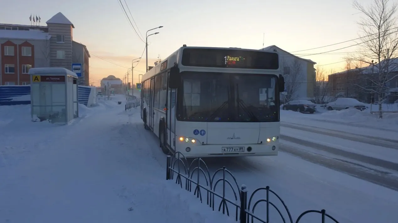 Автобус пуровск тарко. Система маршрутов.