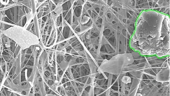 Исследования показывают, что микропластик на Ямале есть, но он приносной и в небольших количествах. Фото предоставлено Романом Колесниковым