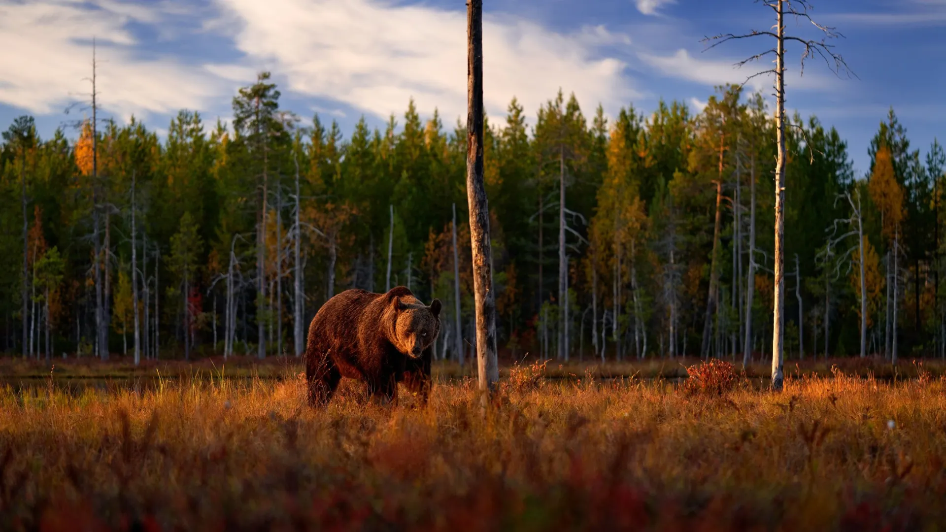 Фото: Ondrej Prosicky / Shutterstock / Fotodom