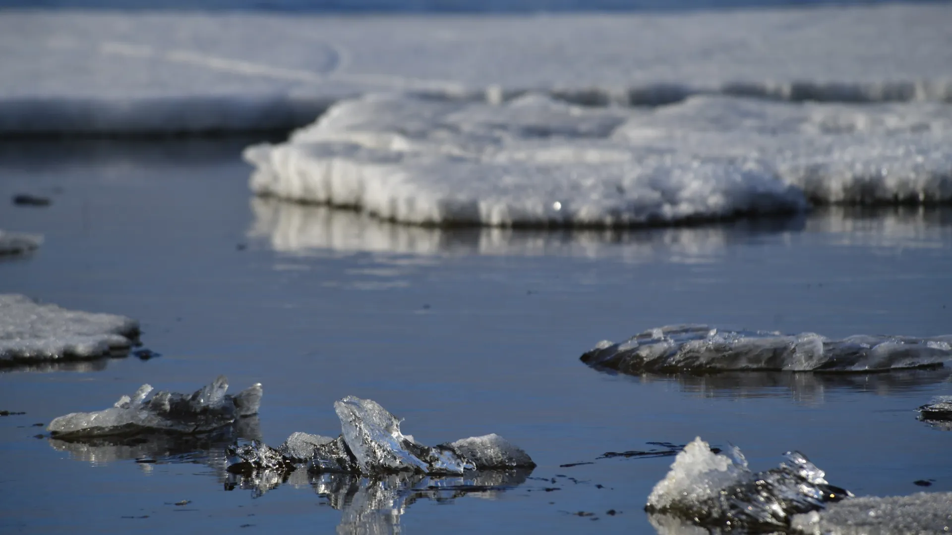 Весь Ямал следит за движением льда в Шурышкарском районе. Фото: Андрей Ткачев / «Ямал-Медиа»