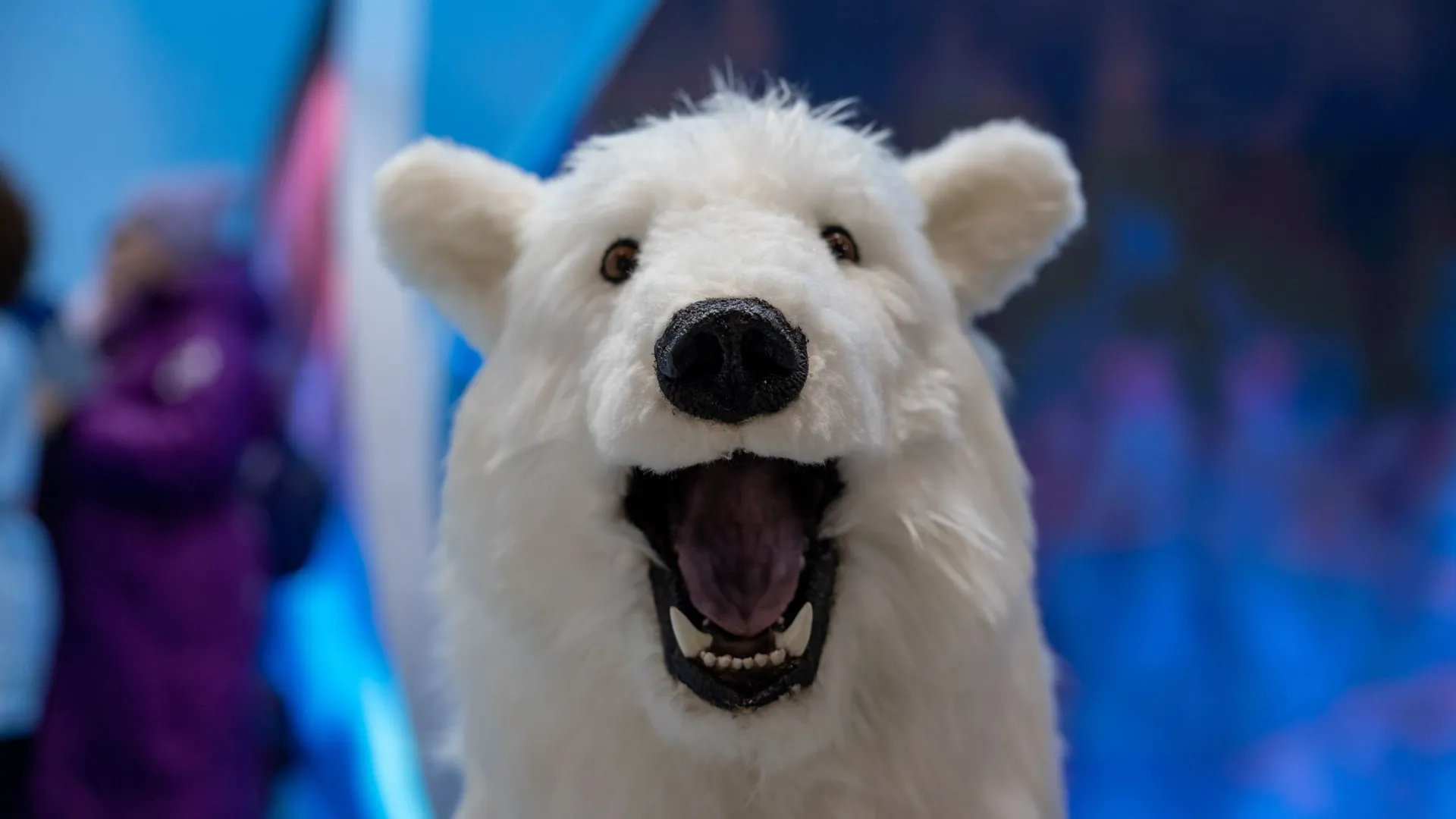 Белый медведь поздравил Алису с днем рождения. Фото: Федор Воронов / «Ямал-Медиа»