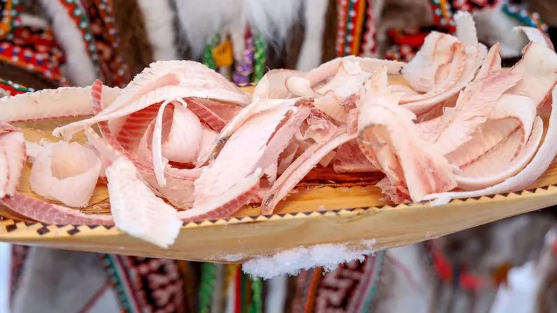 Строганина — излюбленная еда коренных северян. Фото: Василий Петров / «Ямал-Медиа»