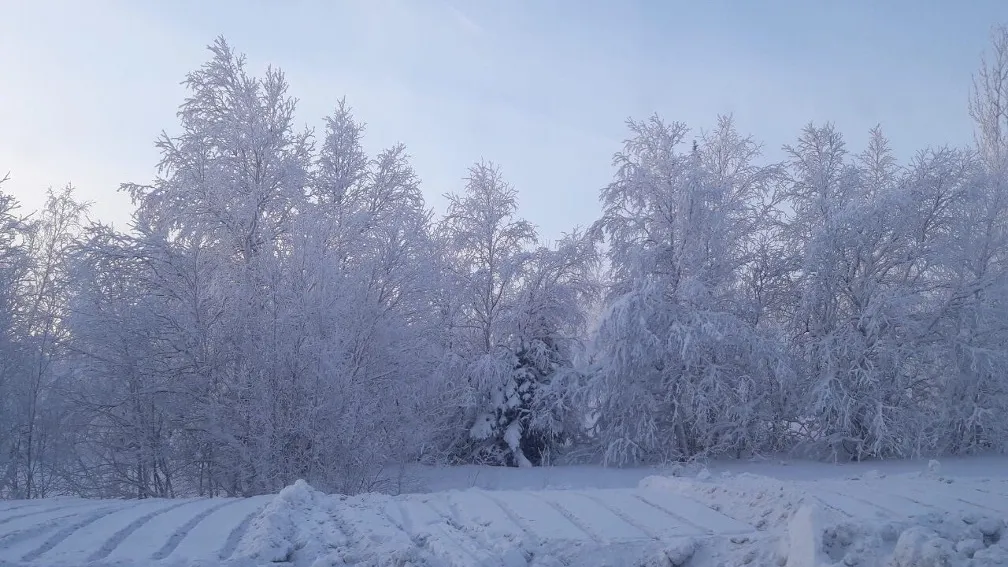 Южный декабрь. Какое на севере лето, какая зима. Зима на севере февраль метели Пуровский край. Зима в Сибири 2021 фото. Аномалия над Сибирью 7 февраля 2021 года.