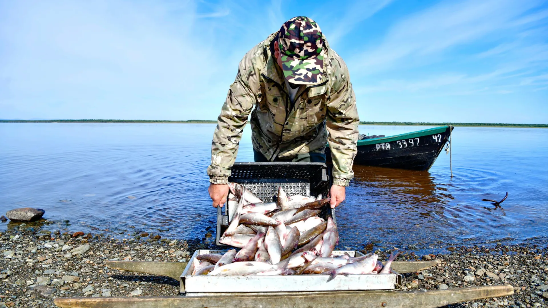 Рыбакам на реке Таз временно запретили неводной промысел. Фото: Андрей Ткачев / «Ямал-Медиа»