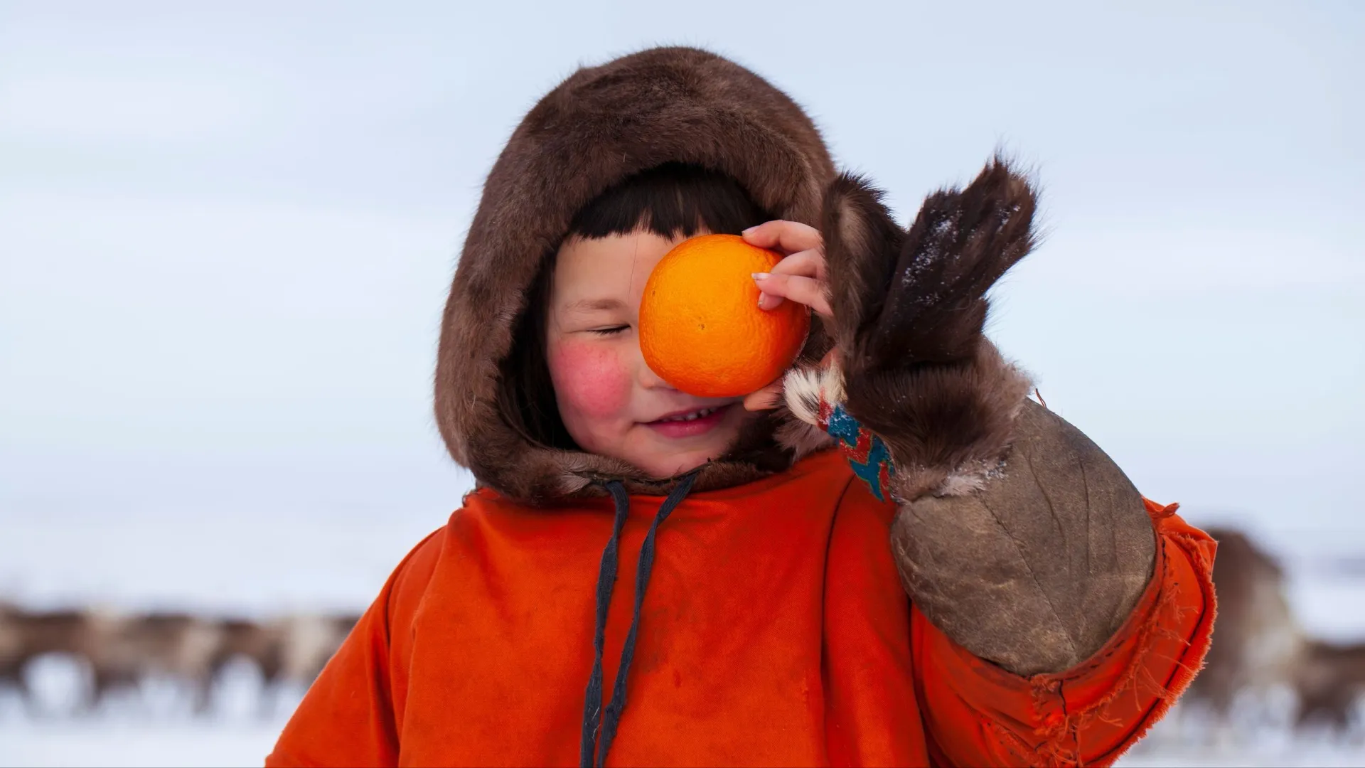 Оранжевый дарит радость. Фото: evgenii mitroshin / Shutterstock / Fotodom