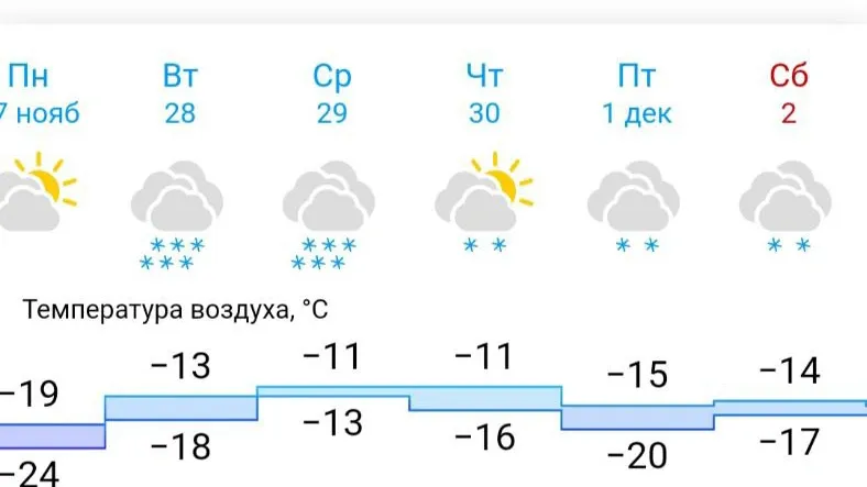 В Салехарде во вторник ожидается обильный снегопад. Фото: gismeteo.ru