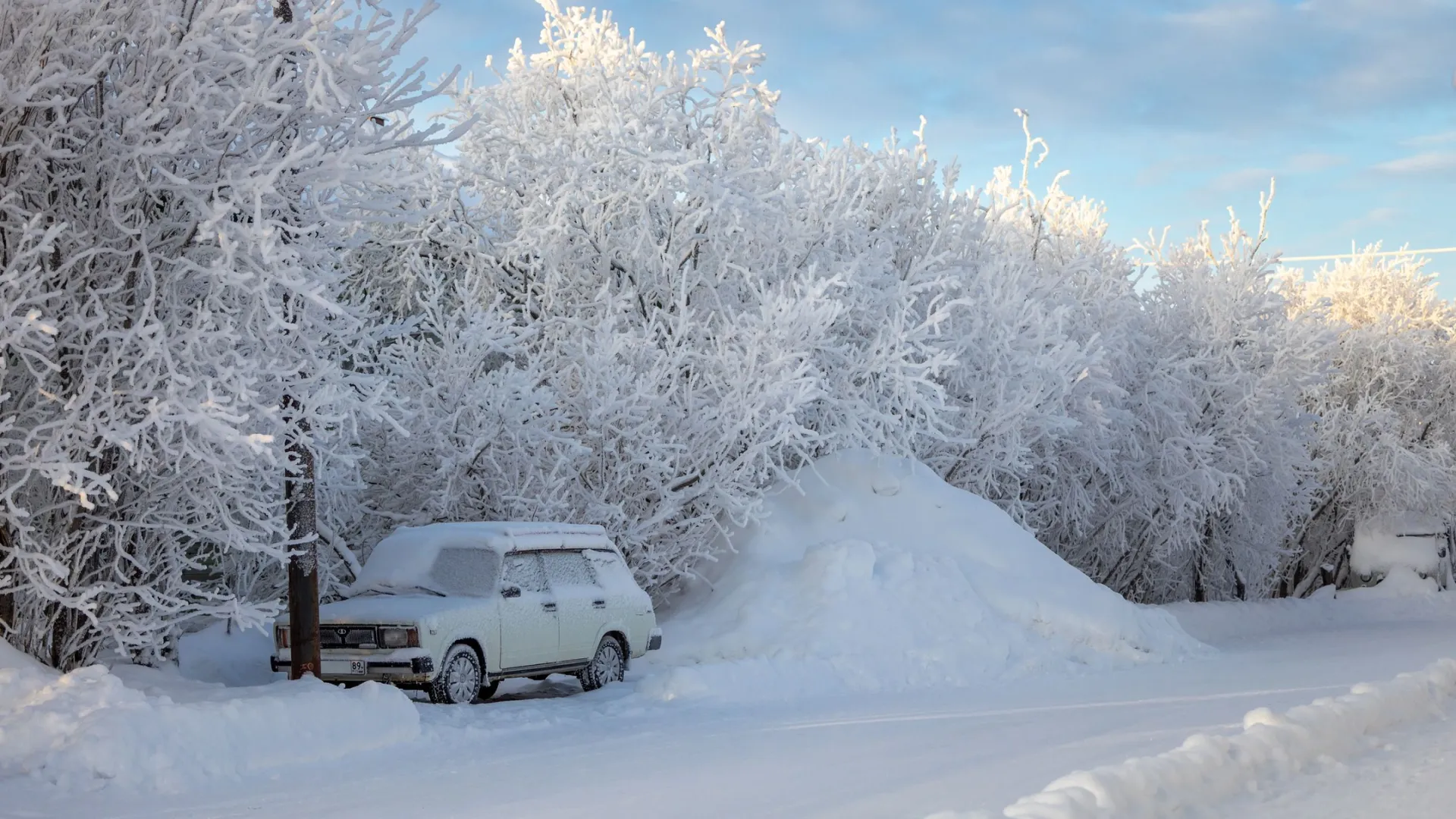 С начала года обнаружили 186 брошенных автомобилей. Фото: Федор Воронов / «Ямал-Медиа»