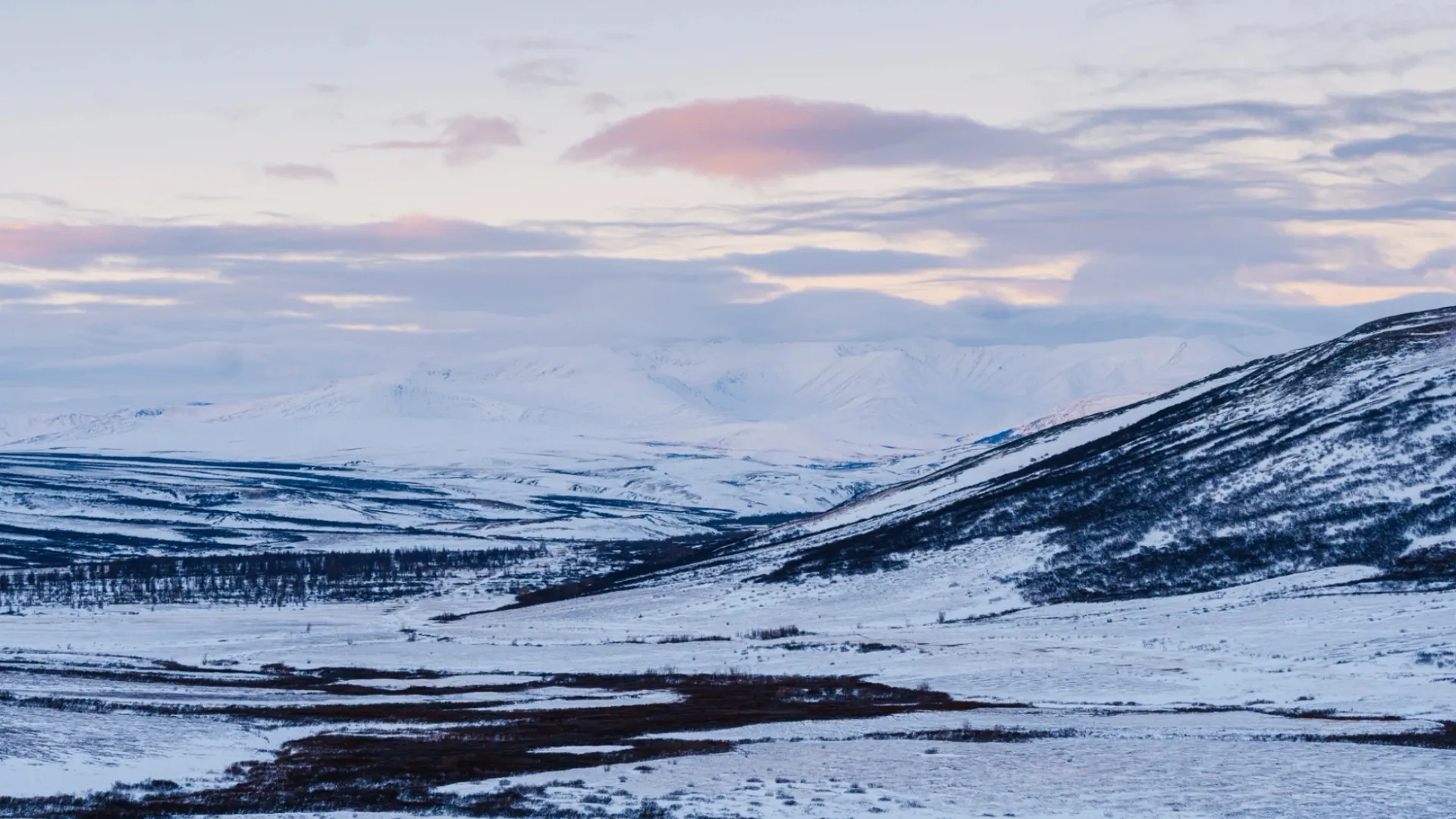 В Арктике проходят различные экспедиции. Фото: Юлия Чудинова / «Ямал-Медиа»