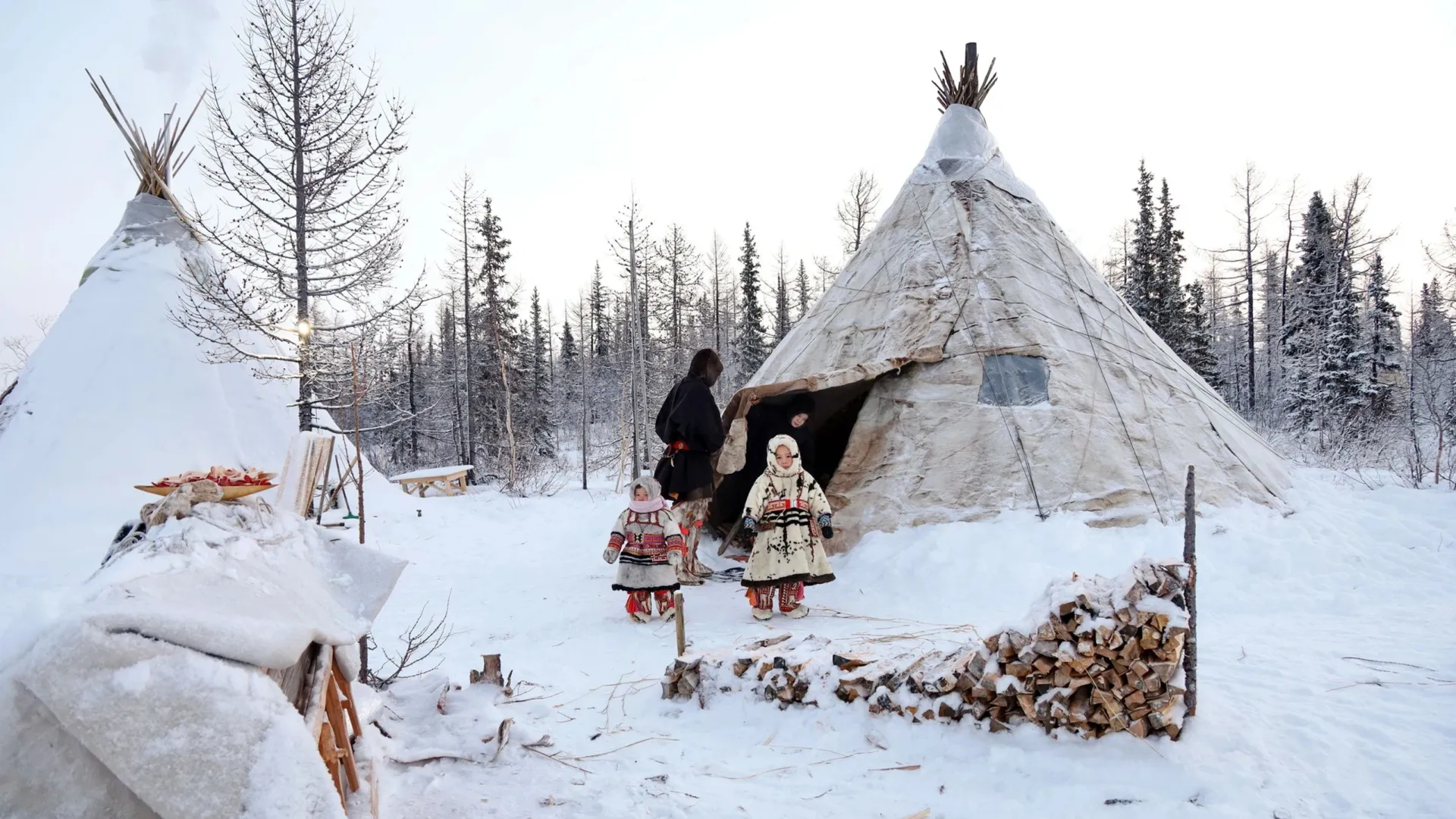На Ямале действует 40 мер поддержки для коренного населения. Фото: Василий Петров / «Ямал-Медиа»