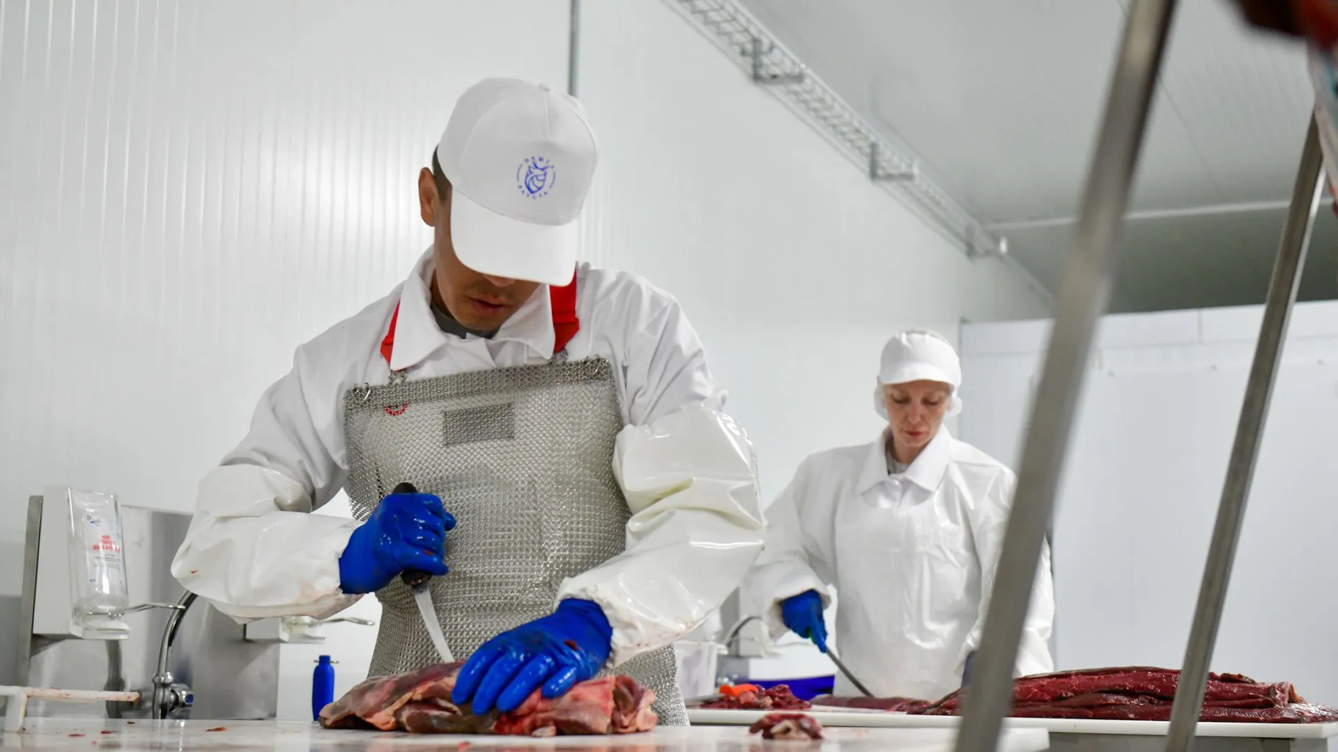 Цех будет перерабатывать до 510 тонн мяса северного оленя в год. Фото: Андрей Ткачев / «Ямал-Медиа»