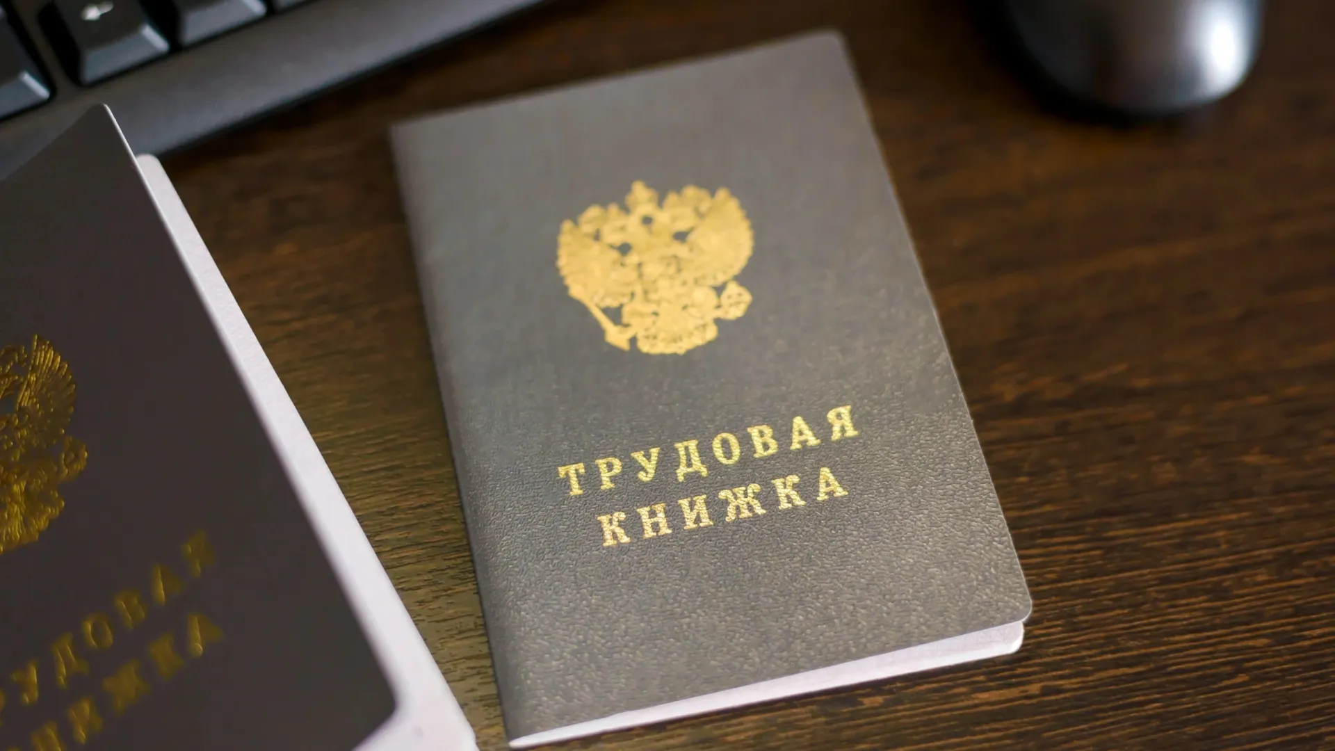 Увольнение вдовы. Трудовая книжка Россия. Электронная Трудовая книжка. Надпись на трудовую книжку. Трудовая книжка в руках.