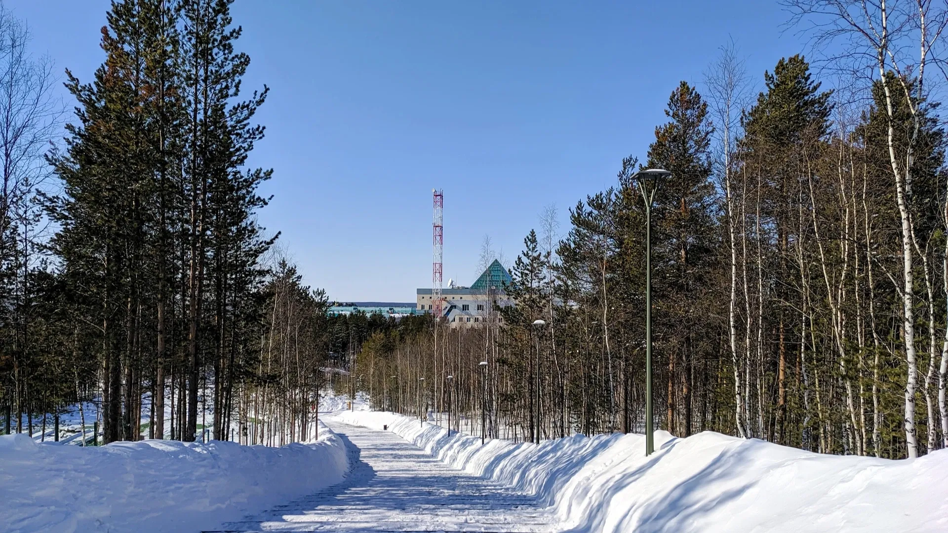 В двух городах ЯНАО из-за погоды школьникам рекомендовали остаться дома |  Север-Пресс