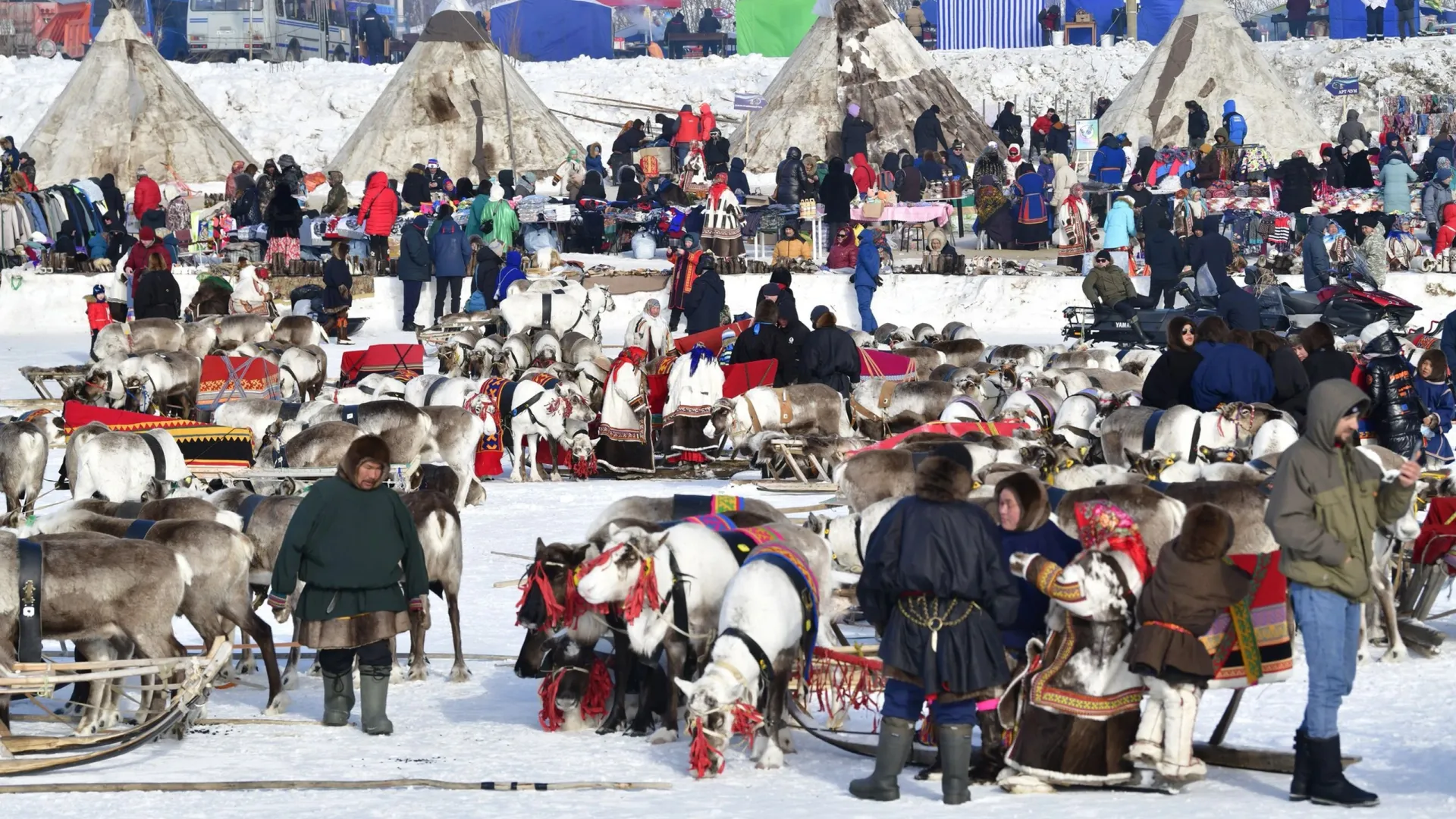 По мнению ученых, коренные народы Арктики обладают врожденным крепким иммунитетом. Фото: Андрей Ткачев / «Ямал-Медиа»