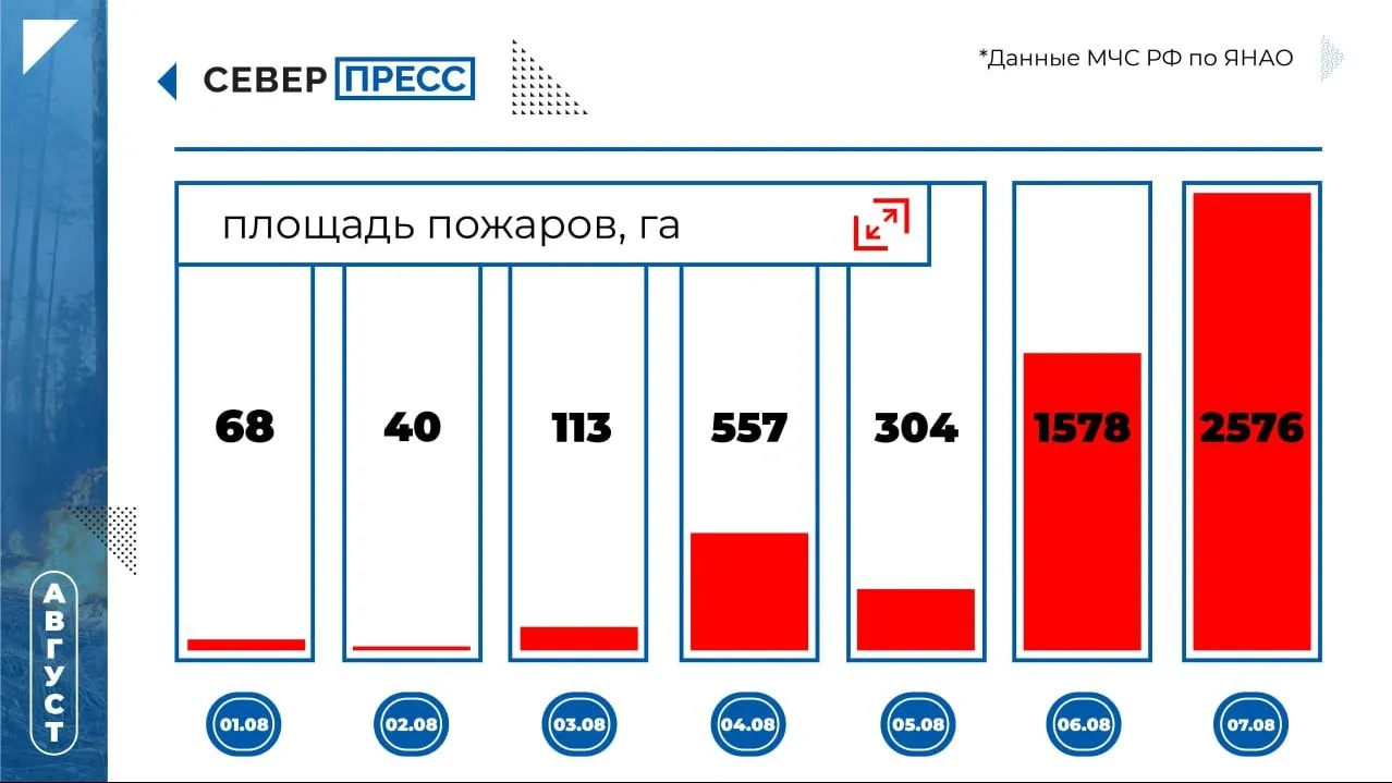 Инфографика: Сергей Ткачук