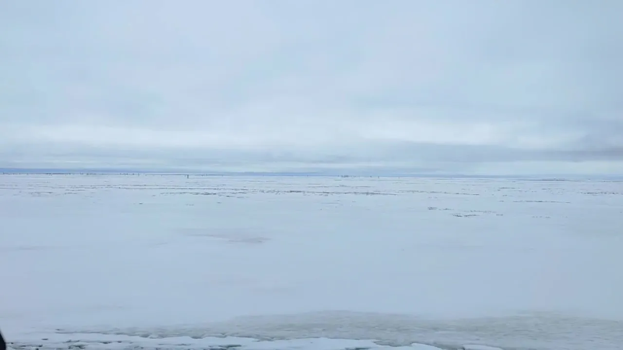 Зима не отступает в тундре Тазовского района. Кадр из видео Афанасия Тэсиды в соцсети «ВКонтакте»
