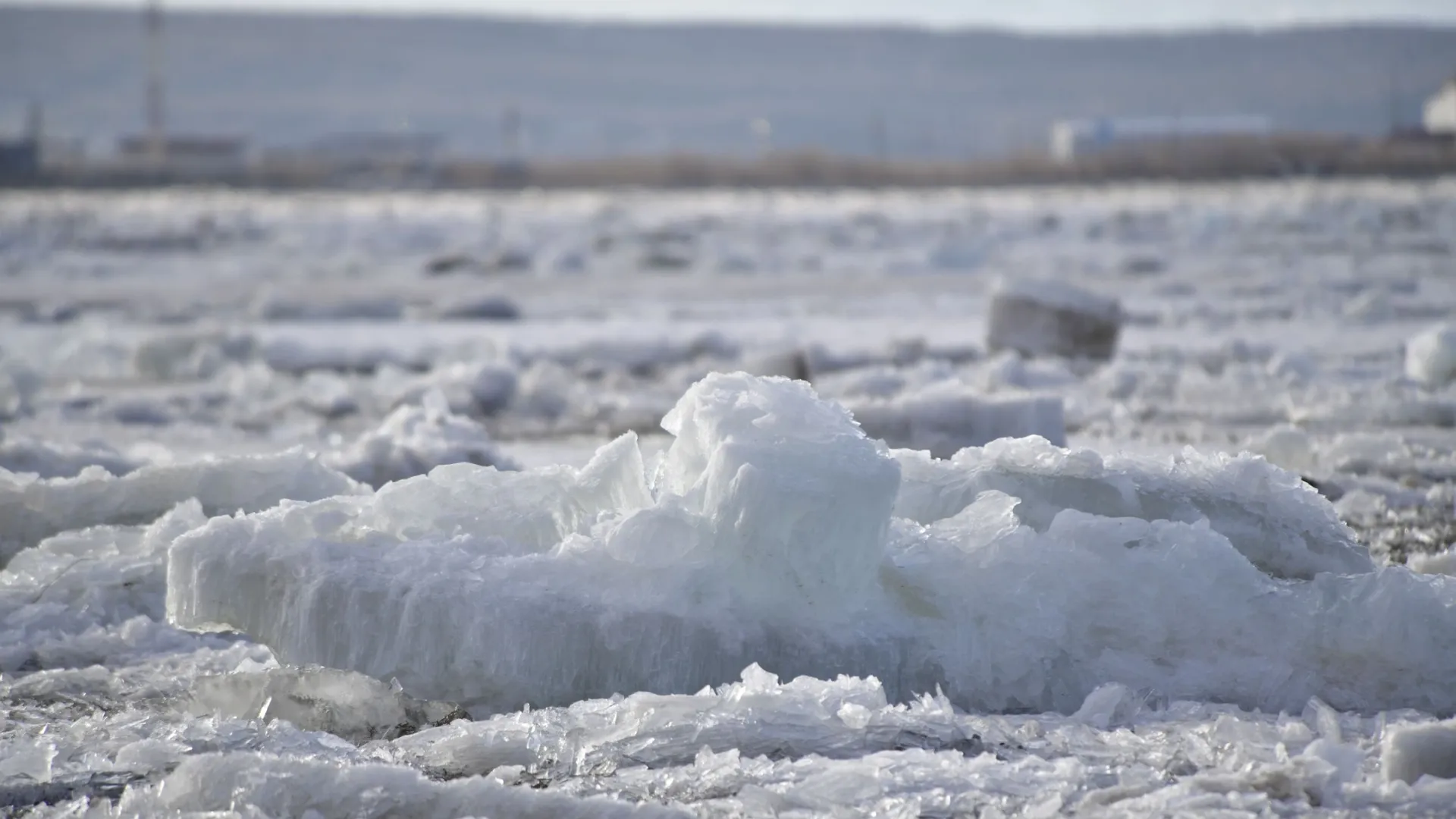 На Оби начал вскрываться прибрежный лед. Фото: Андрей Ткачев / «Ямал-Медиа»