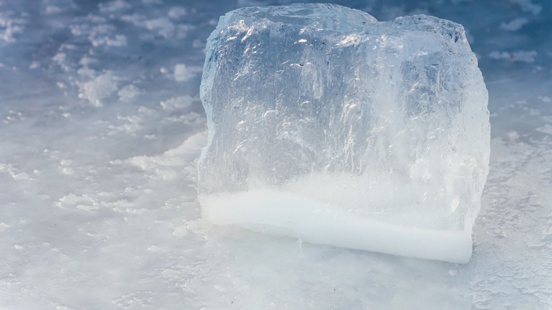 Лед сохранит рыбу в период летней путины. Фото: Юлия Чудинова / «Ямал-Медиа»