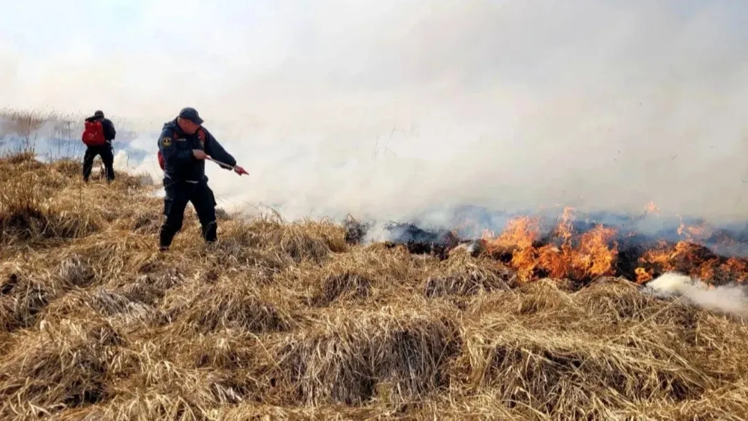 Фото предоставлено пресс-службой губернатора ЯНАО