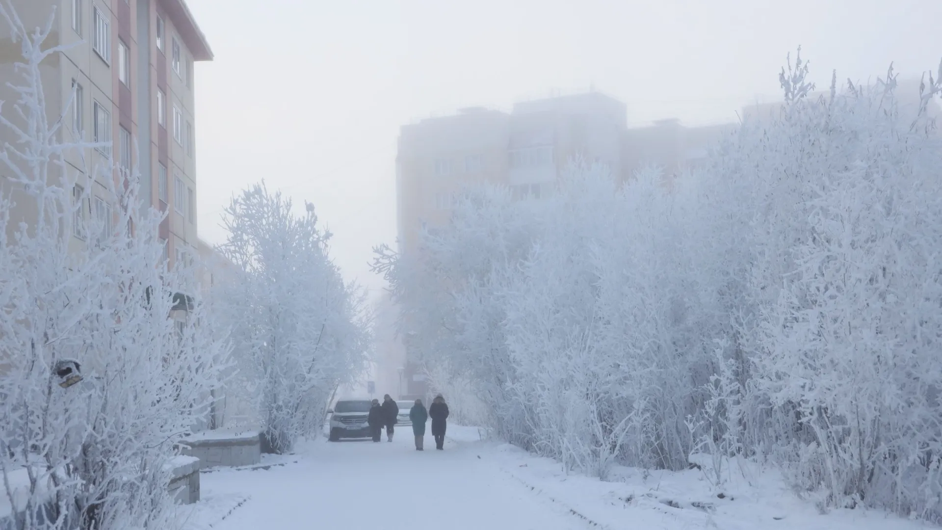 В некоторых районах Ямала дороги покроются ледяной изморозью. Фото: Василий Петров / «Ямал-Медиа»