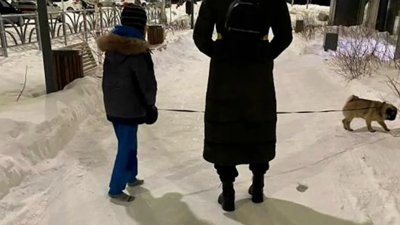 В Екатеринбурге вечером в четверг, 11 января, свидетели рассказали, как мать в мороз шла рядом с босым плачущим сыном, выгуливая собаку. Фото: t.me/zloy_ekb